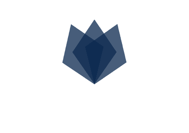 Cinetyka