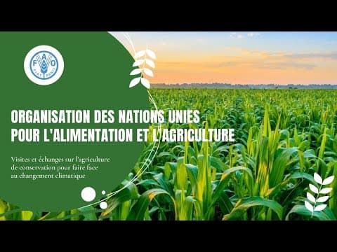 Visites et échanges sur l'agriculture de conservation pour faire face au changement climatique