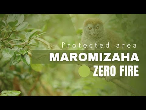 Film Maromizaha Zero Fire - English Version