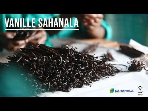 Sahanala dans la région SAVA